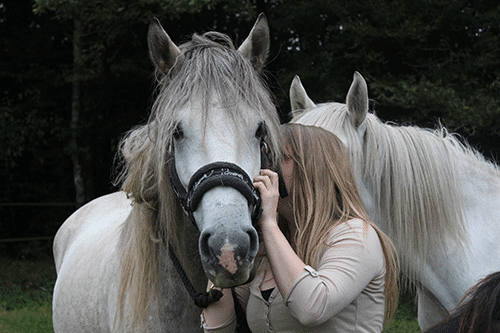 Complicité entre le cheval et son cavalier