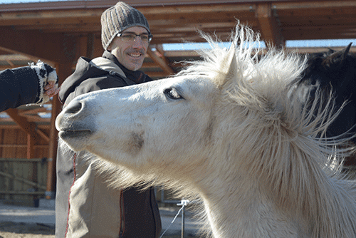 cours d'équitation