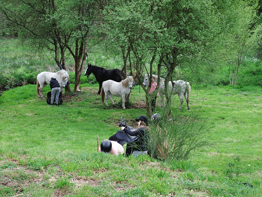 La pause de midi au cours d'une randonnée Cours d'équitation personnalisés dans le Morbihan