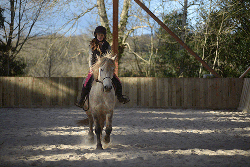 cours-individuel-equitation dans le Morbihan