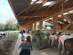 Aire de pansage du centre équestre