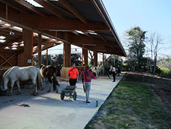 infrastructures du centre équestre