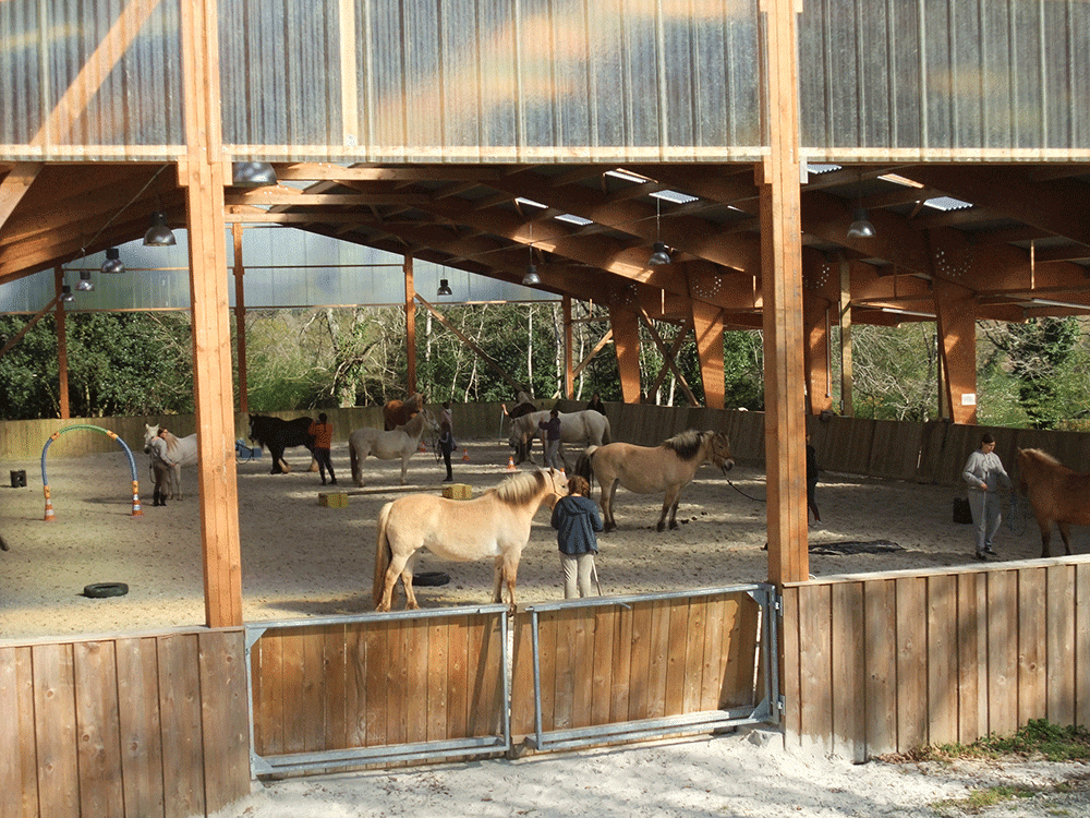 centre équestre Le manège des Crinières de l'Ouest