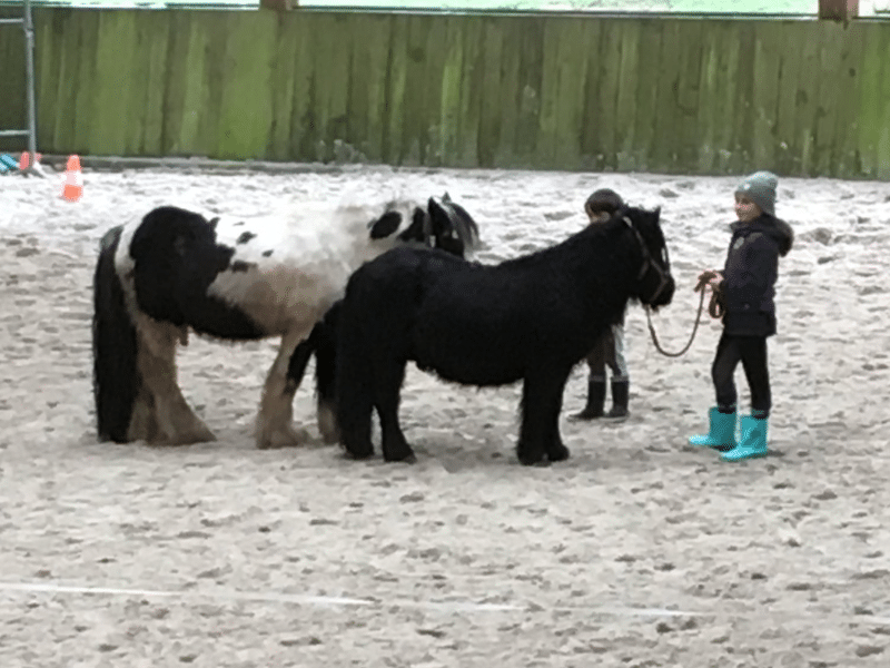 Enfant participant à un cours de poney dans le Morbihan