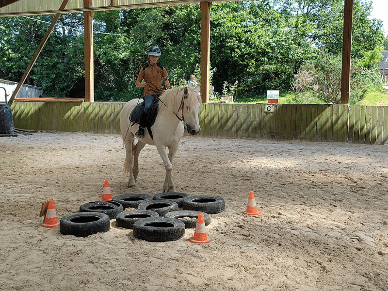 Stage équitation pour enfants Morbihan