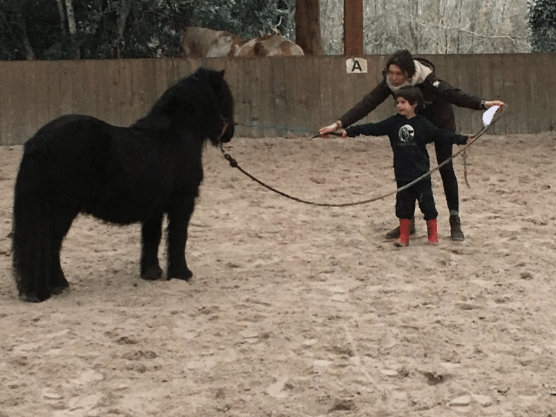 Leçons de poney au centre équestre Les Crinières de l'Ouest dans le Morbihan