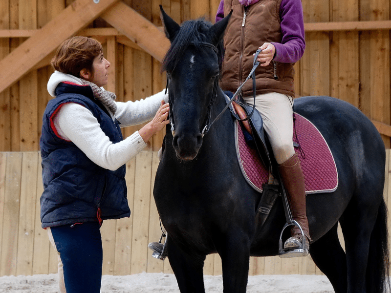 Apprendre à mieux connaitre son cheval