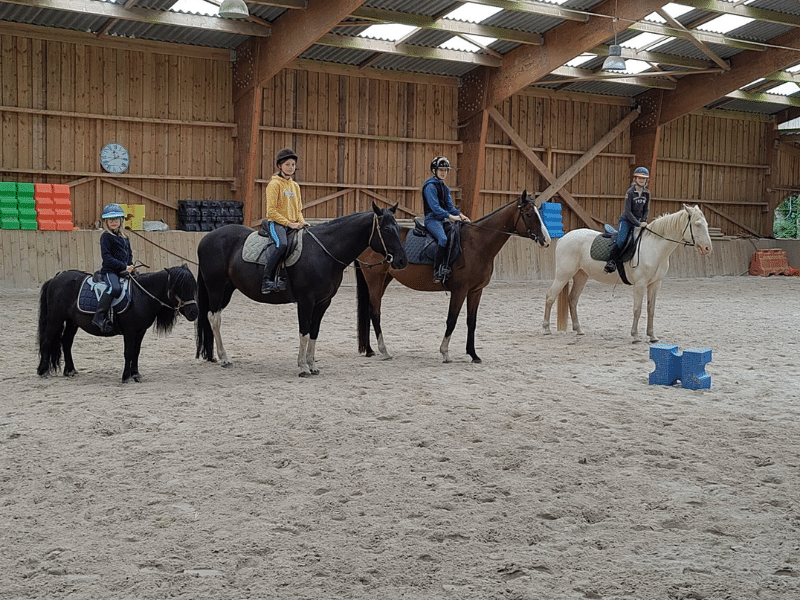 Découvrir la passion des chevaux