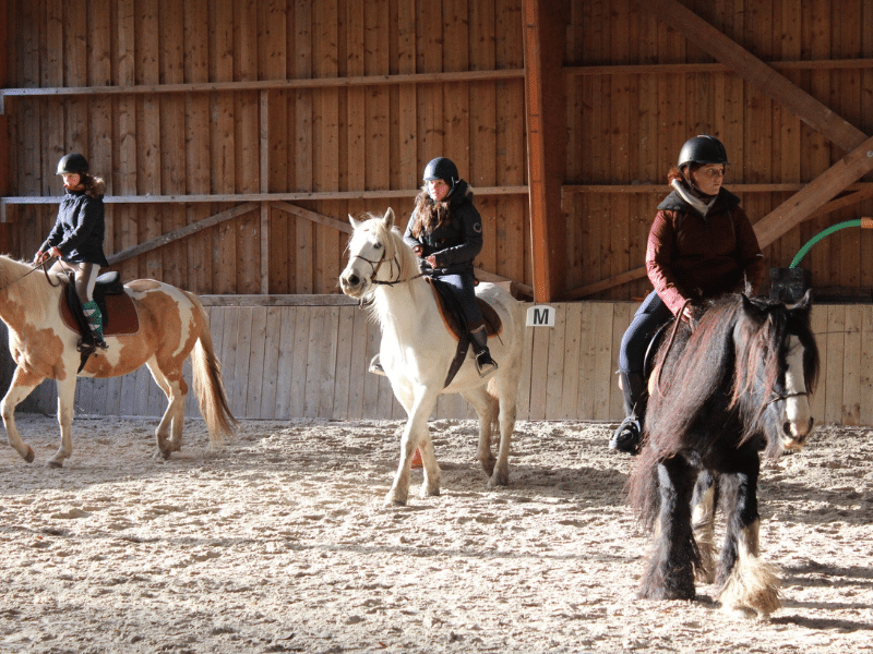 Une approche variée dans une ambiance détendue Cours d'équitation pour adultes