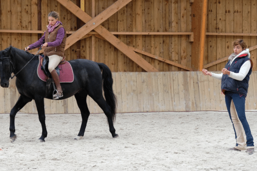 Cours d'équitation pour adultes Crinières de L'ouest