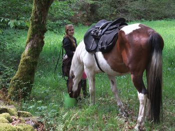 Zack, cheval croisé quarter horse, reçoit une ration pendant la pause du lidi lors d'une randonnée.