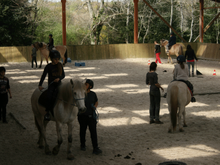 Initiation à l'équitation lors d'un séjour adolescents