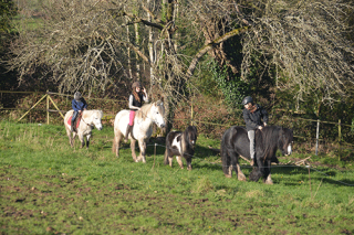 Balade en poney pour les enfants à l'occasion de chaque stage