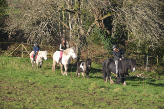 balade en poney morbihan