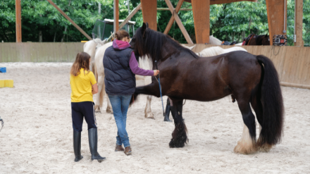 Un poney réalise un pas espagnol sous la direction d'une cavalière dans le manège.